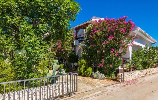 Apartment "Marija" - Otok Vir Kültér fotó