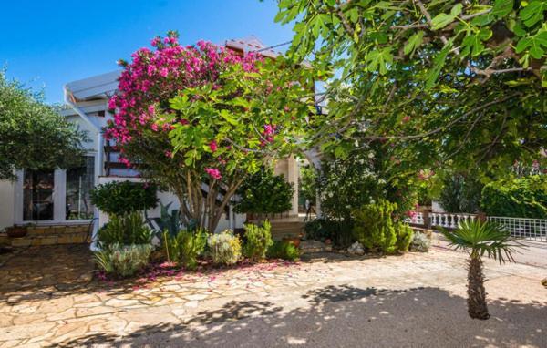 Apartment "Marija" - Otok Vir Kültér fotó