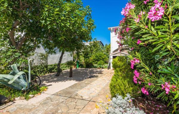 Apartment "Marija" - Otok Vir Kültér fotó